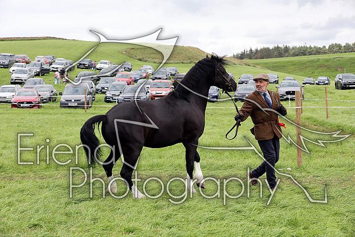 Carnwath2025Ring1767