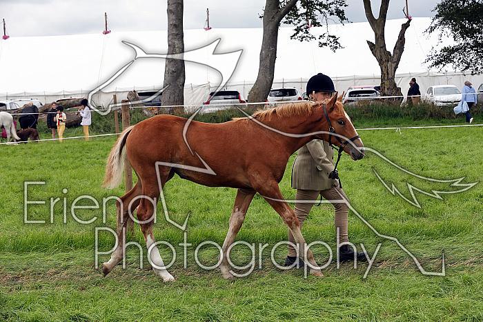 Carnwath2025Ring1768