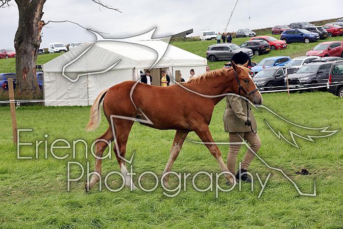 Carnwath2025Ring1769