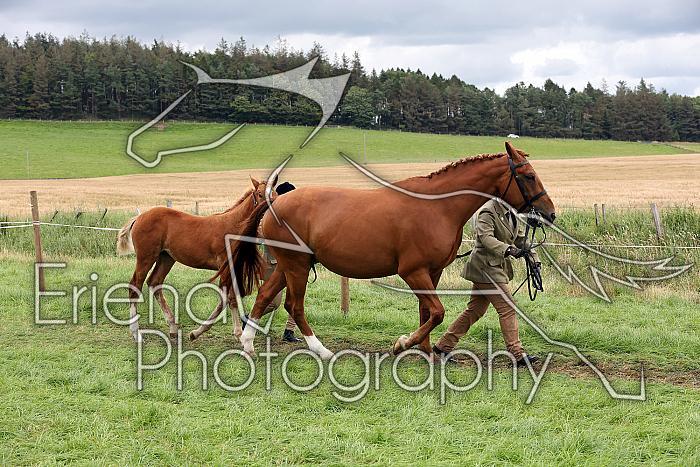 Carnwath2025Ring1771