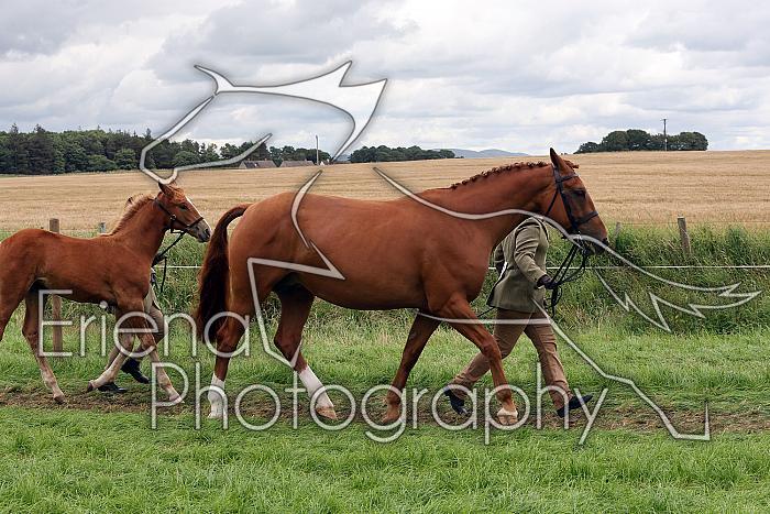 Carnwath2025Ring1773
