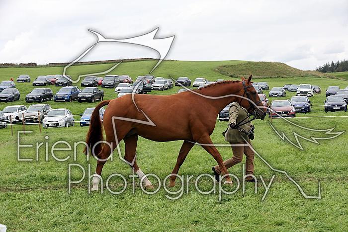 Carnwath2025Ring1777