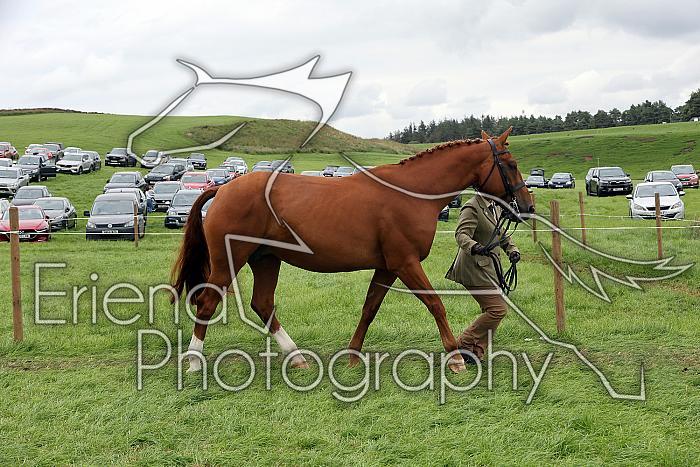 Carnwath2025Ring1778