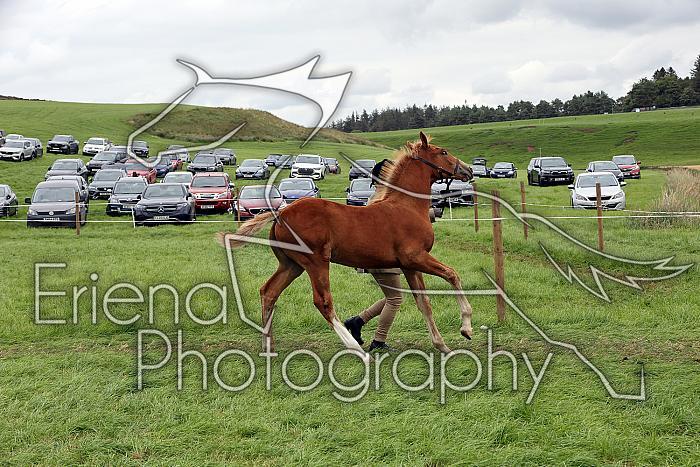 Carnwath2025Ring1780