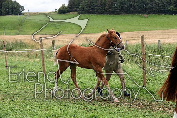 Carnwath2025Ring1782