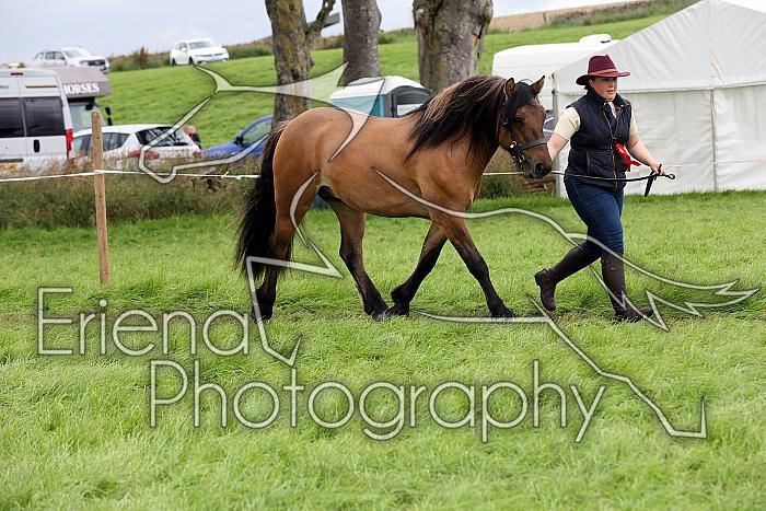 Carnwath2025Ring1788