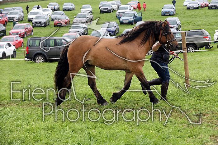 Carnwath2025Ring1789