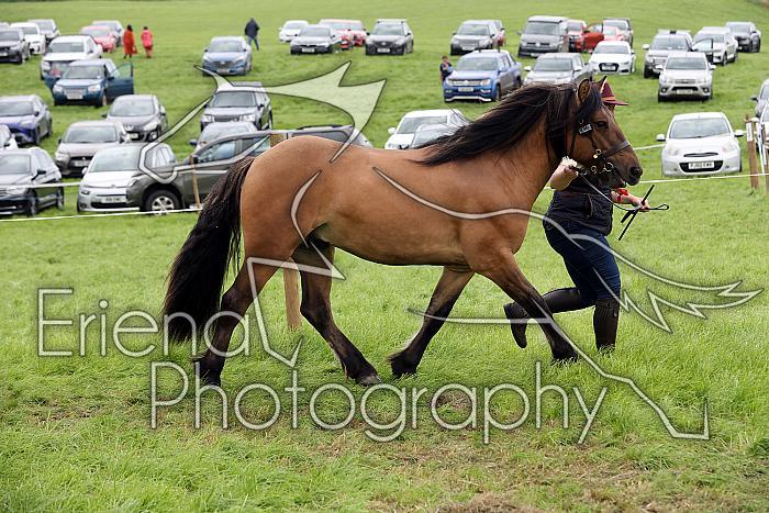 Carnwath2025Ring1790