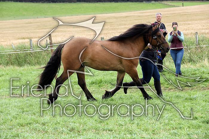 Carnwath2025Ring1791
