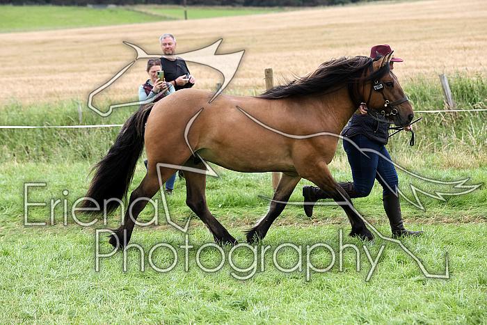 Carnwath2025Ring1792