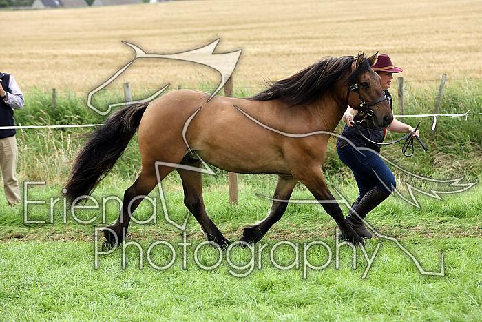 Carnwath2025Ring1793