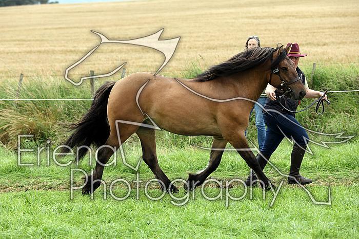 Carnwath2025Ring1794