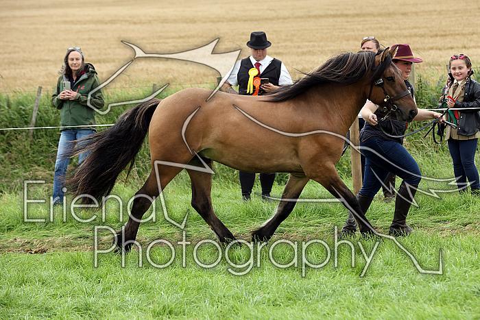 Carnwath2025Ring1795