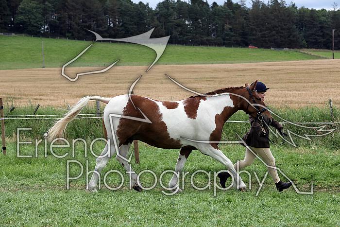 Carnwath2025Ring1798