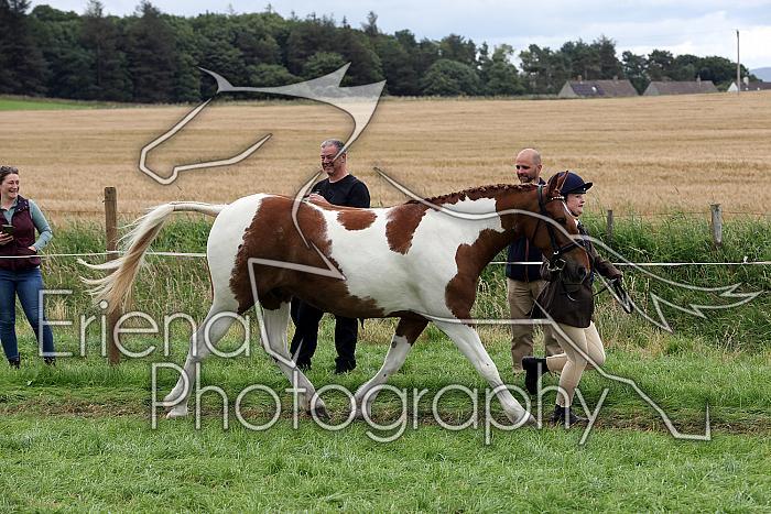 Carnwath2025Ring1800