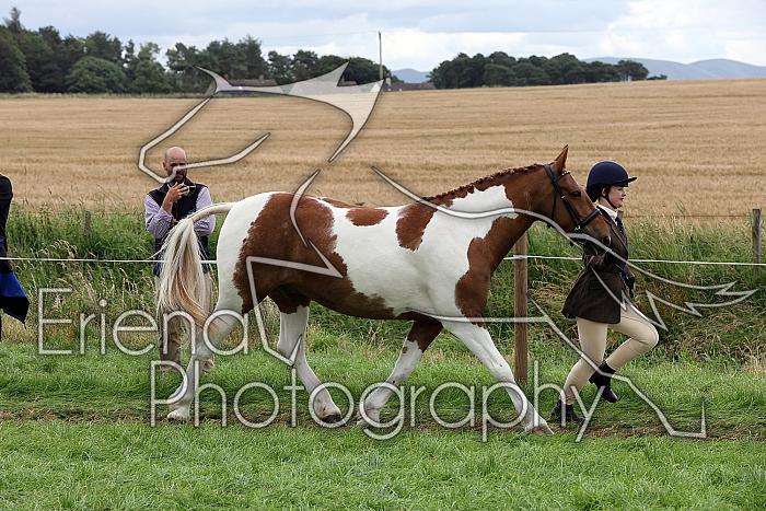 Carnwath2025Ring1801