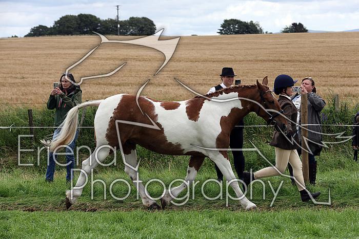 Carnwath2025Ring1803