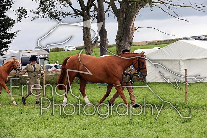 Carnwath2025Ring1805