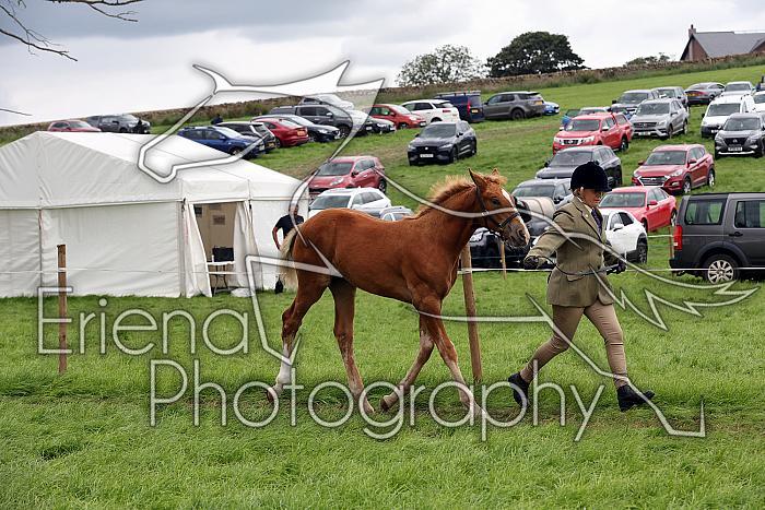 Carnwath2025Ring1807