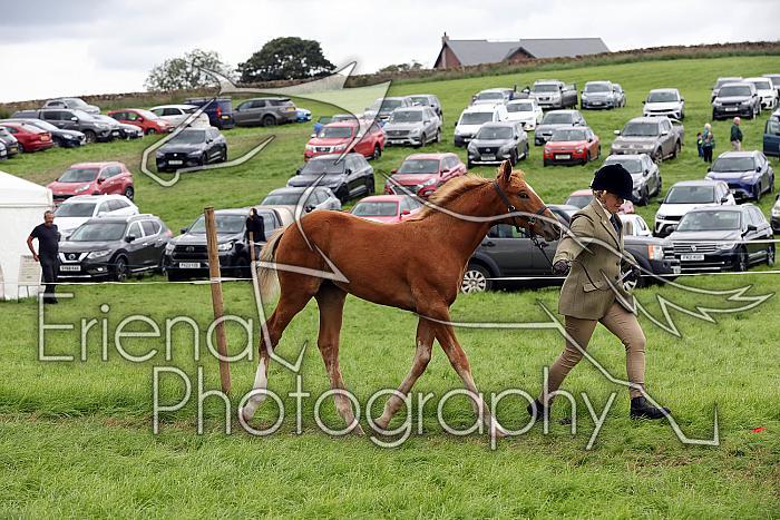 Carnwath2025Ring1808