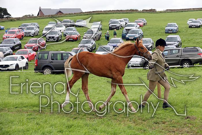 Carnwath2025Ring1809