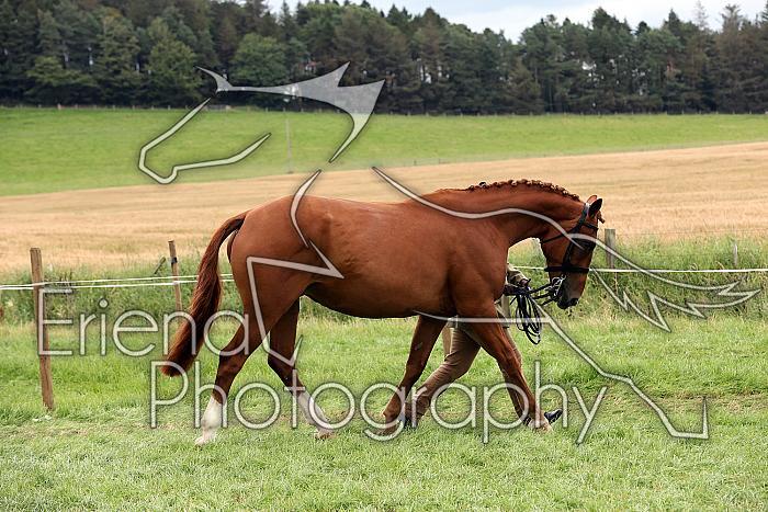 Carnwath2025Ring1810