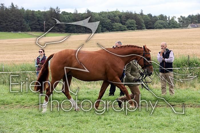 Carnwath2025Ring1811