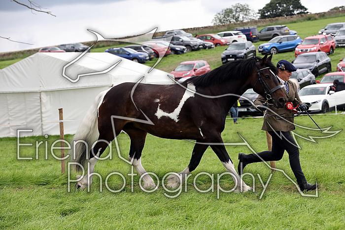 Carnwath2025Ring1814