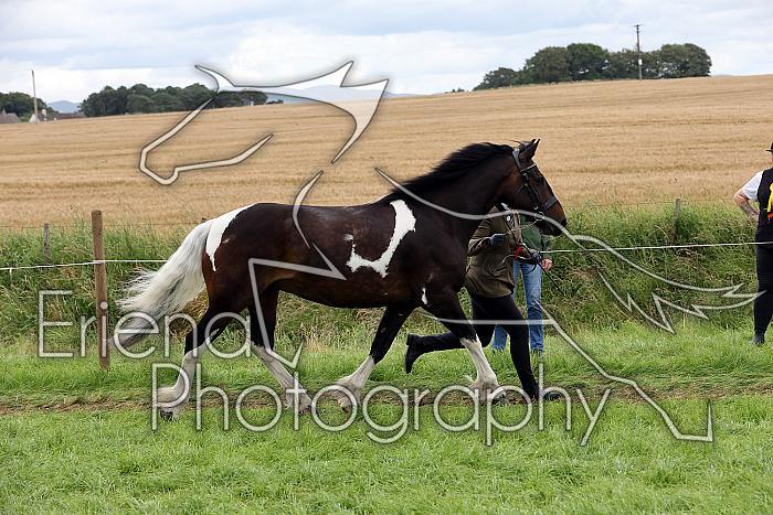 Carnwath2025Ring1818
