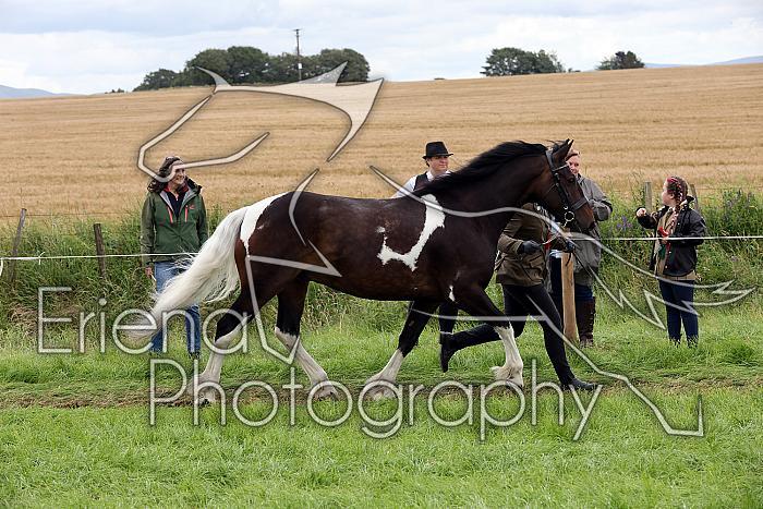 Carnwath2025Ring1819