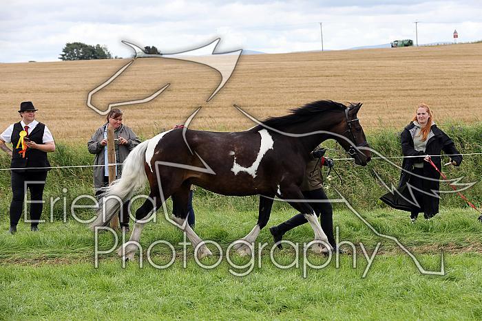 Carnwath2025Ring1820