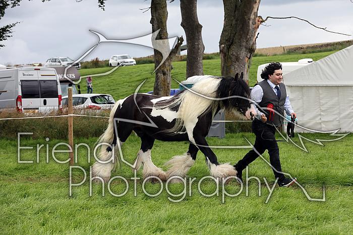 Carnwath2025Ring1821