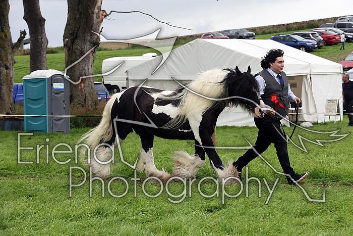 Carnwath2025Ring1822