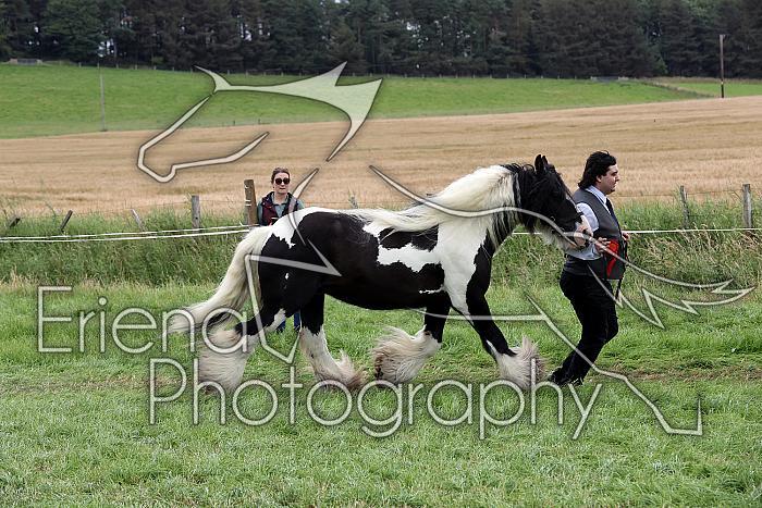 Carnwath2025Ring1824