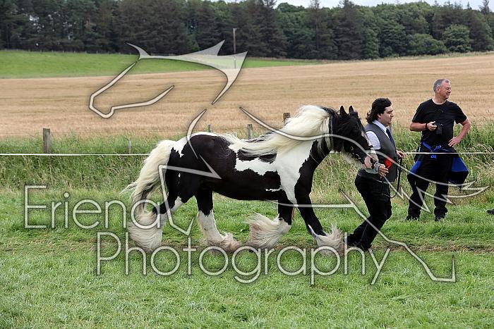 Carnwath2025Ring1825