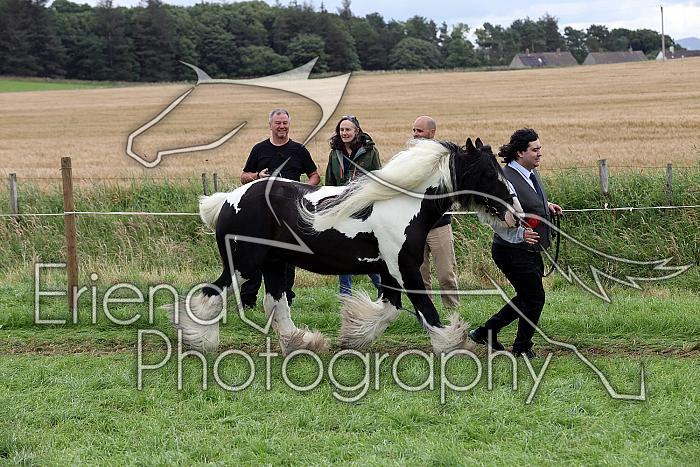 Carnwath2025Ring1826