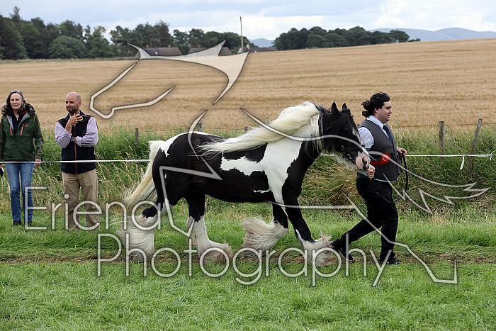 Carnwath2025Ring1827