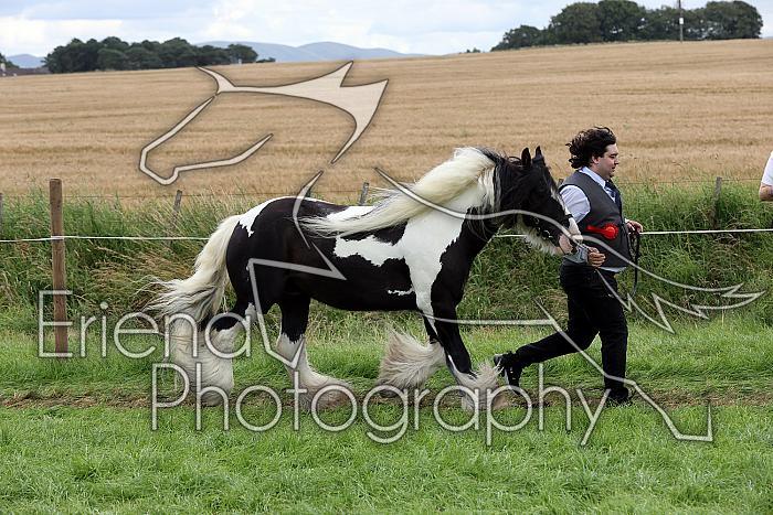 Carnwath2025Ring1828
