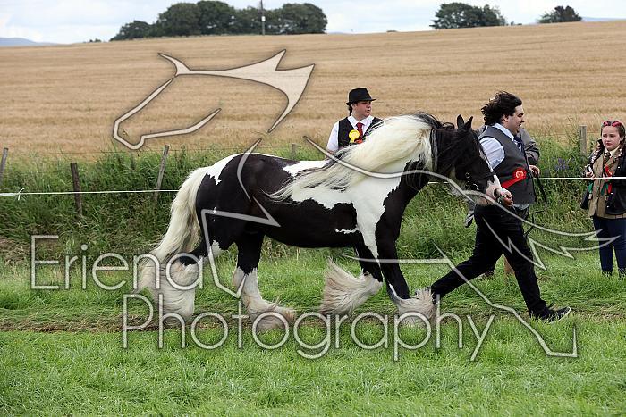 Carnwath2025Ring1829
