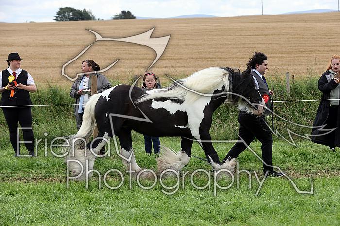 Carnwath2025Ring1830