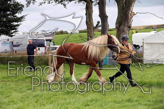 Carnwath2025Ring1831
