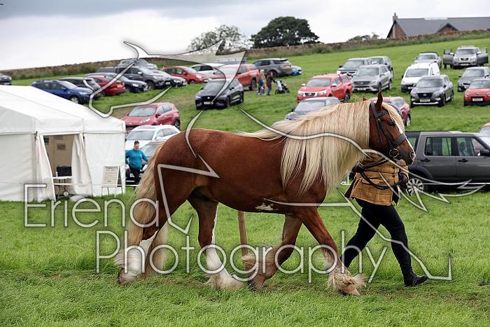 Carnwath2025Ring1832