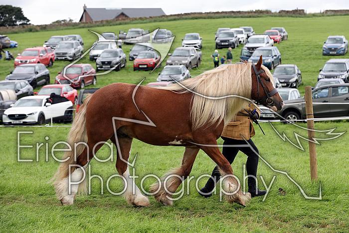 Carnwath2025Ring1833