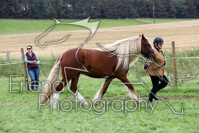Carnwath2025Ring1835