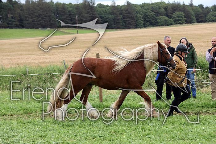 Carnwath2025Ring1836