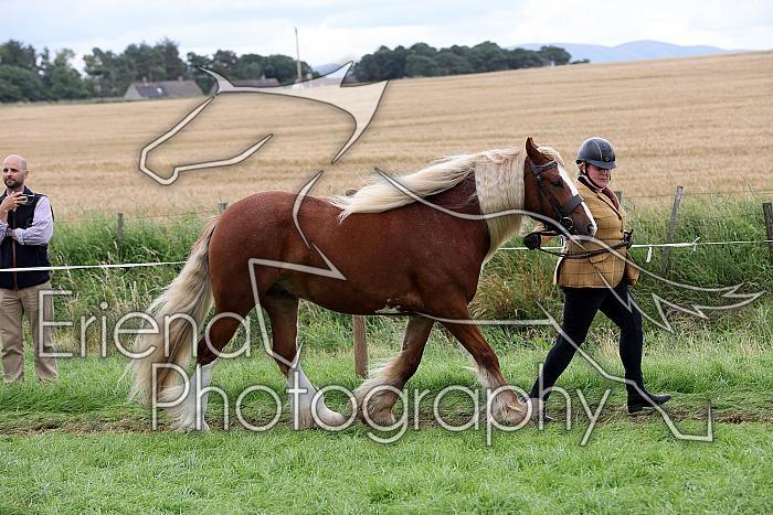 Carnwath2025Ring1837