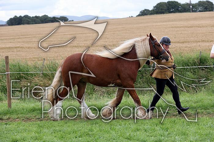 Carnwath2025Ring1838