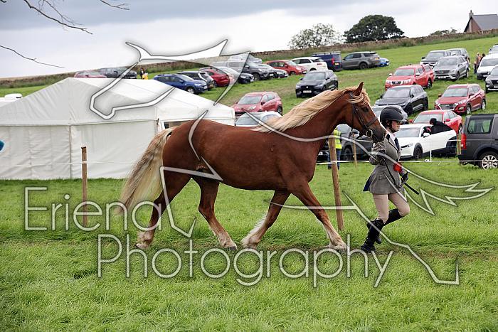 Carnwath2025Ring1840