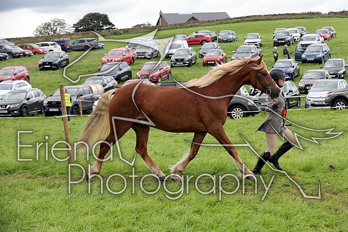 Carnwath2025Ring1841