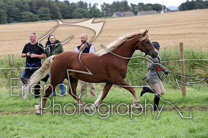 Carnwath2025Ring1846